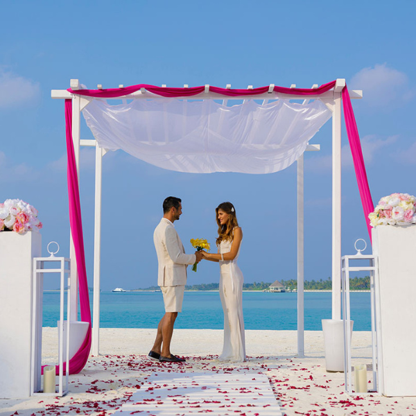Your dream wedding begins here
